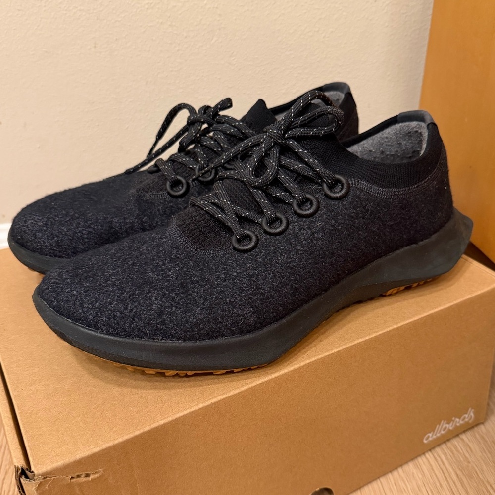 Allbirds Men's Wool Dasher Mizzle